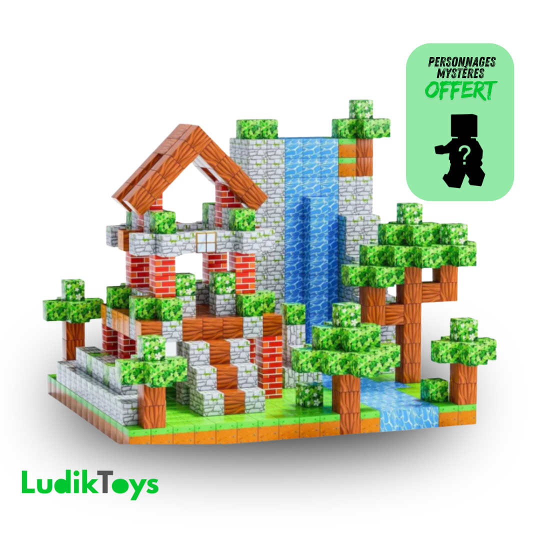 Blocks de construction magnétique